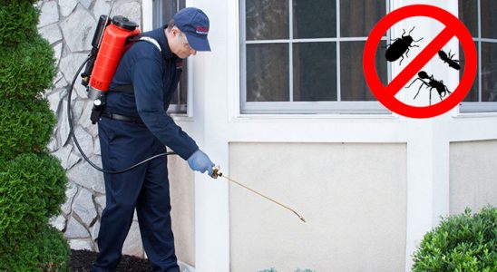 Otlukbeli Kemirgen İlaçlama böcek ilaçlama ve haşere kontrolü — ilaclama-tr.com